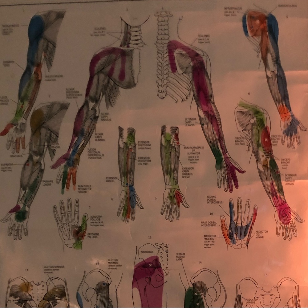 Meet your Posher, Derek